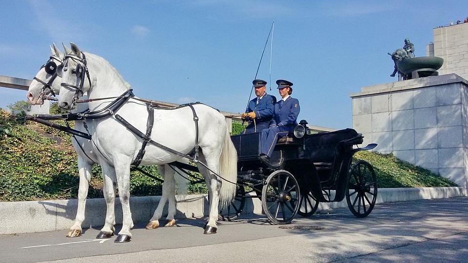 Starokladrubáci u Národního památníku na Vítkově