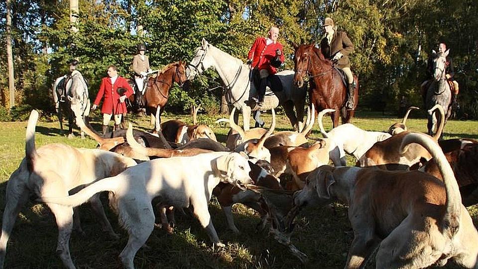 Tradiční hony v Drahenicích a Martinicích