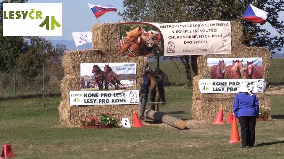 Videozáznam MČSR chladnokrevníků 2018 v Klokočově
