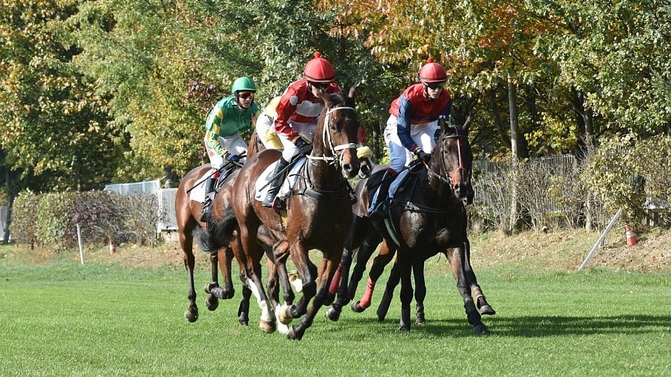 Velká pardubická sobota patřila proutěnkářům