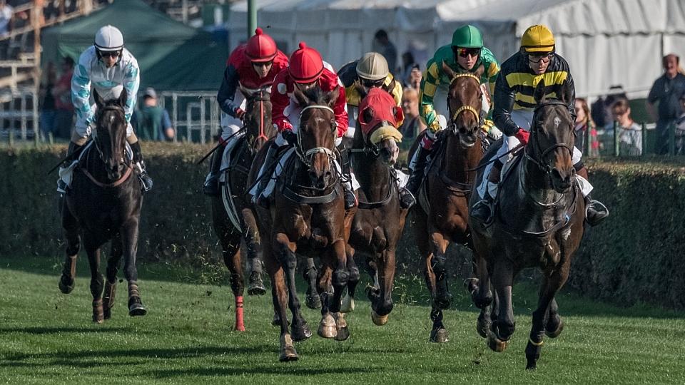 Velká pardubická sobota 2018 ve fotogalerii