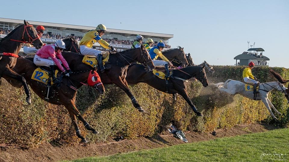 Velká pardubická 2018 ve fotogalerii Ivana Krejzy
