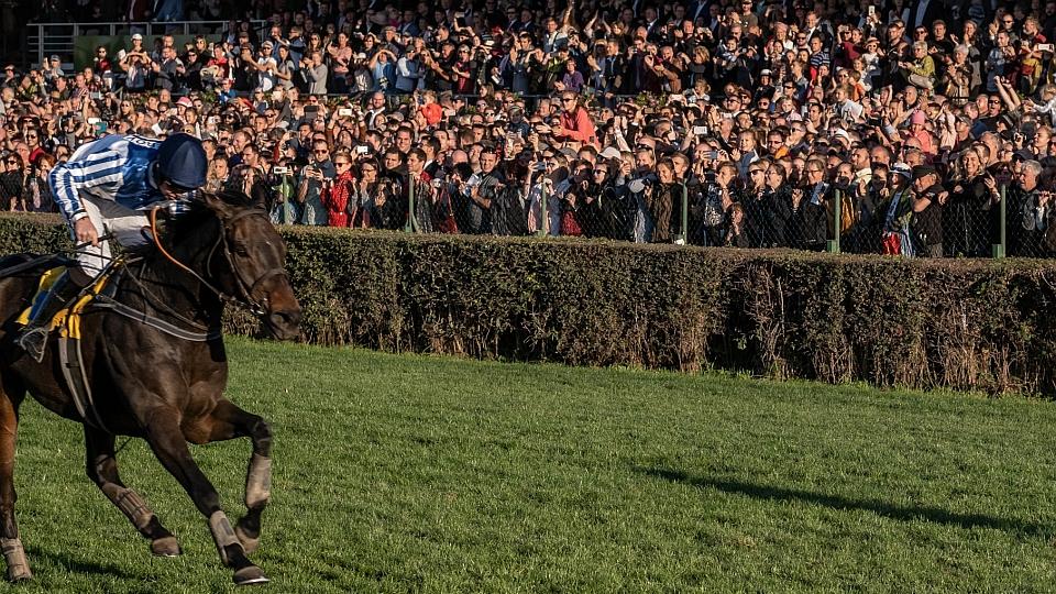 Při Velké pardubické dorazilo za víkend 35000 lidí
