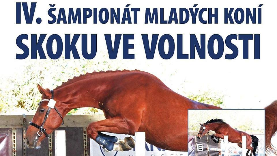 Šampionát ve volnosti a přehlídka hřebců v Tachově