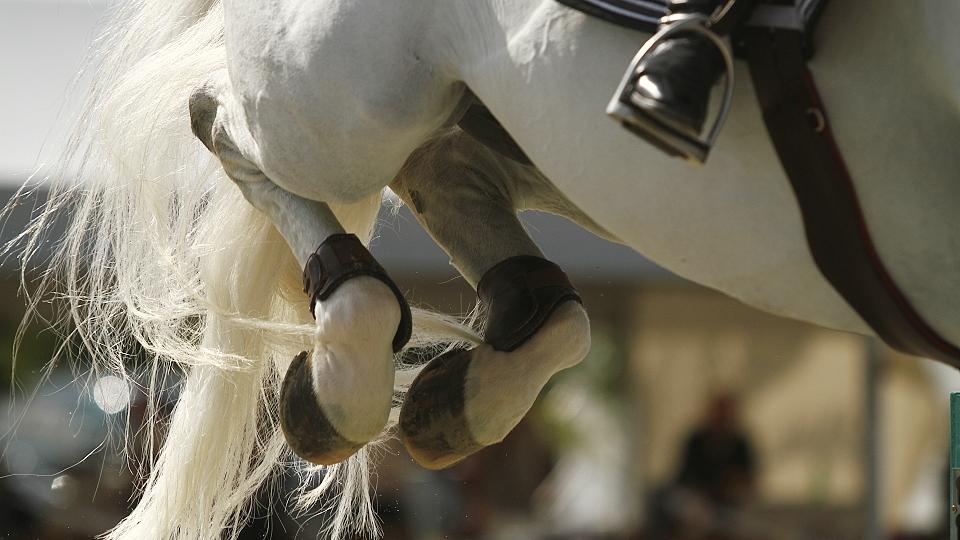 Deváté místo Emmy de Moussac při CSI Opglabbeek