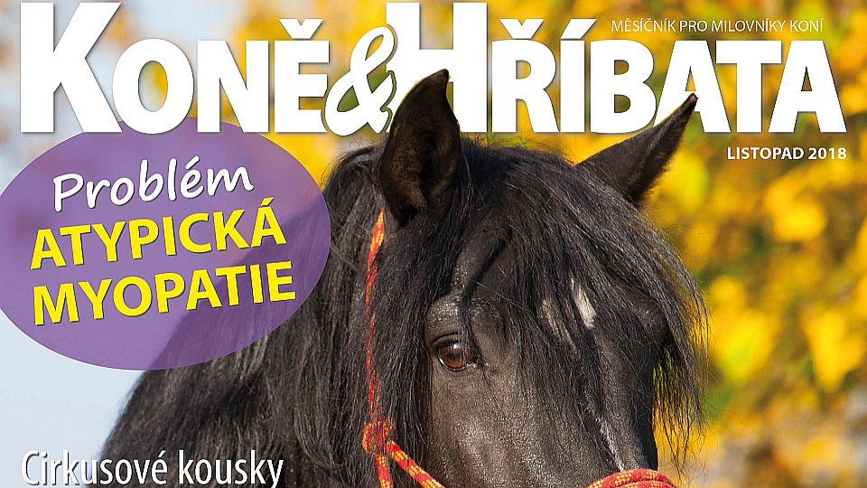 Listopadová Koně a hříbata jsou venku!