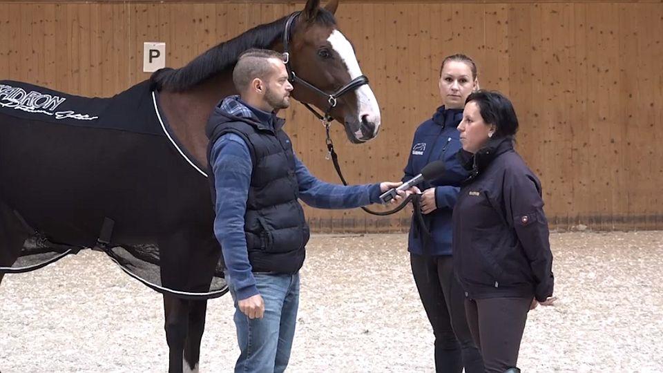 Video poradna EQS: Síťované a terapeutické deky