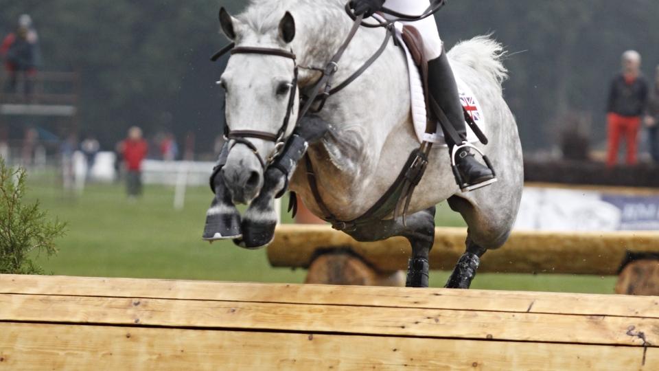 Townend stále v čele FEI žebříčku všestrannosti