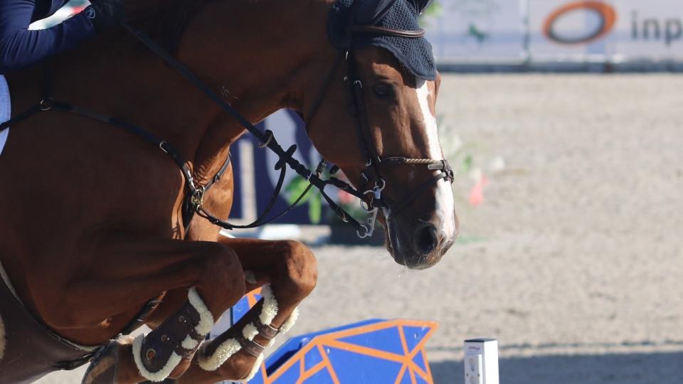 Sobotní Ebreichsdorf s Indoor Derby