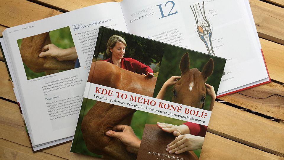 Akce Koňské knihy za hubičku vynesla 2454 korun