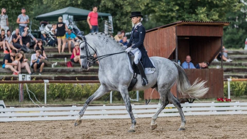 O mezinárodních závodech – CDI-W Brno 2019