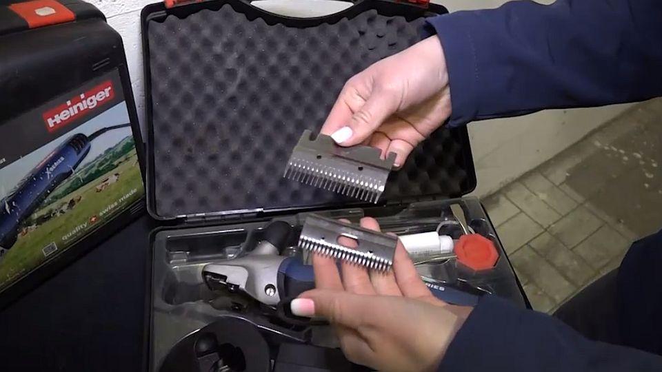 Video poradna EQS: Jak vybrat strojek na stříhání