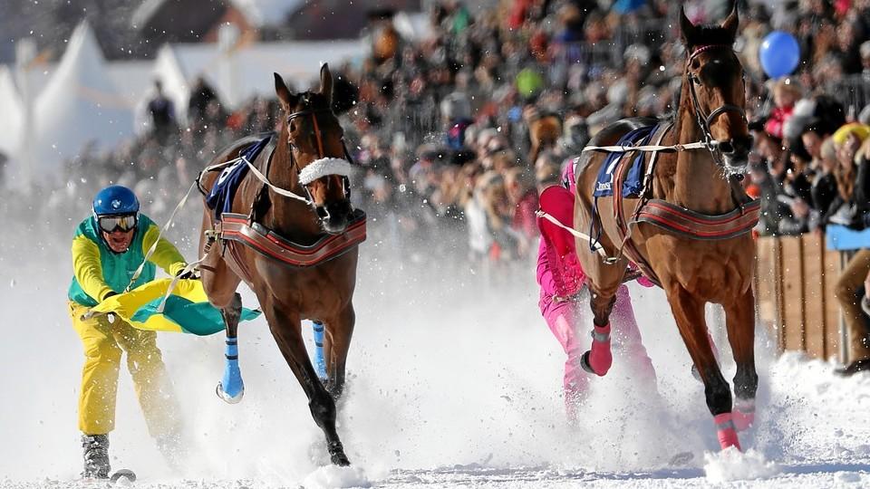 Skikjöring? Adrenalin, na který se nedá trénovat, říká ženská hvězda