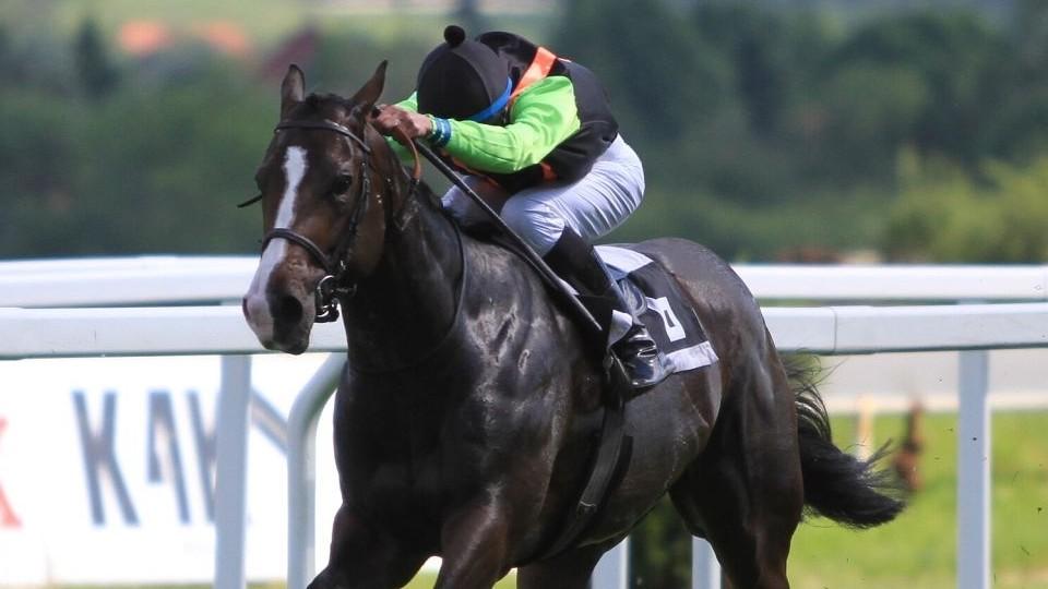 Nine Ou Four drží formu. Luka se vrátil do zasněženého Chantilly