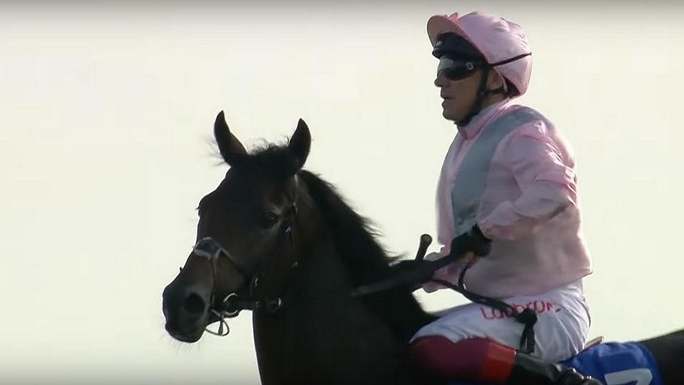 Autor Evity sní o 2000 Guineas. Své hvězdě koupil vodiče za 200 tisíc
