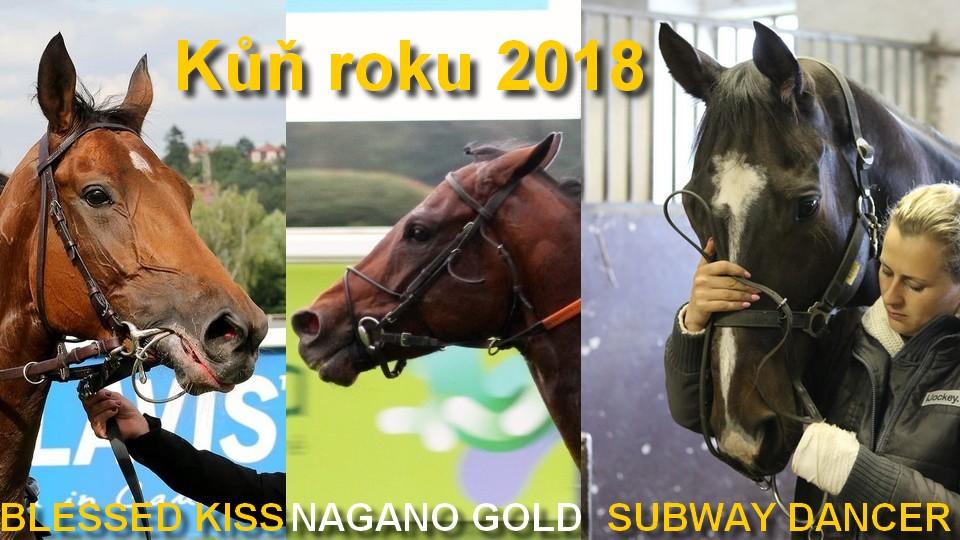 Kdo bude Kůň roku? Duo hvězd zůstává, Blessed Kiss už není ve Francii