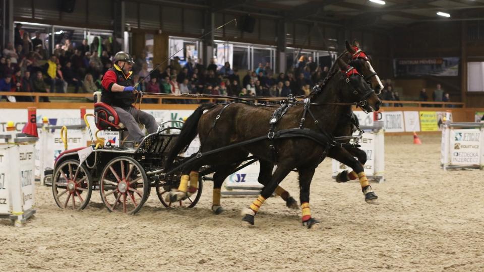 Vlašicovi se na festivalech daří. V Královicích ovládl dvojspřeží