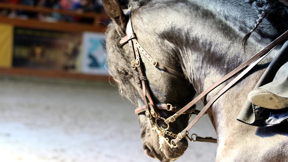 Festival je nejen o sportu. Důležité místo má i show