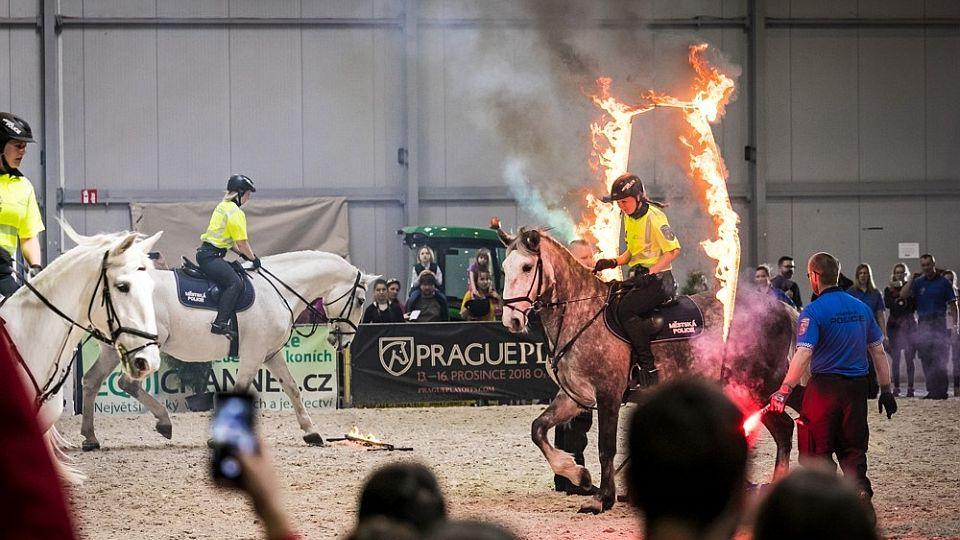 Víme, kdo se může těšit na volné vstupenky na veletrh For Horse
