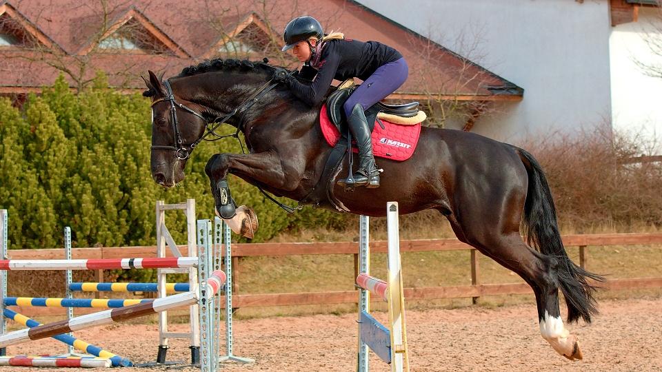 Tereza Mücková: Ve stáji jsem doma. Jak trávím dny, by nikdo nevěřil