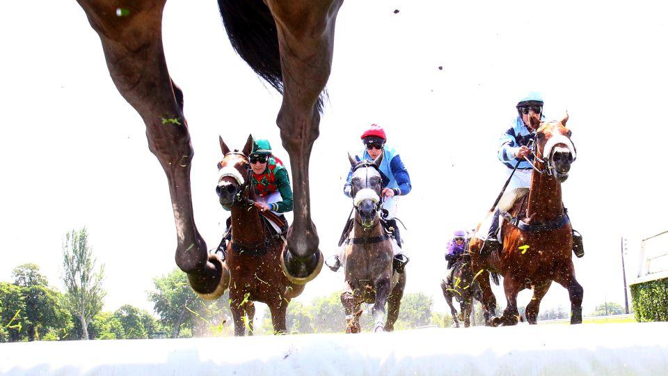 Dostihy pro Notre-Dame. Na obnovu přispějí Soumillon i France Galop