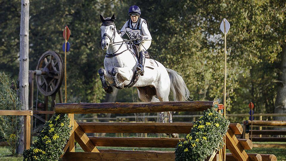 MS 2019: Všestranní mladí koně v Lion d´Angers. Loni vládl irský chov