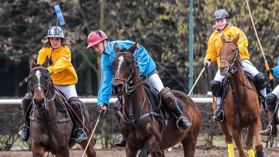 Do Pardubic se vrací pólo. Hrát se bude i během dostihového dne