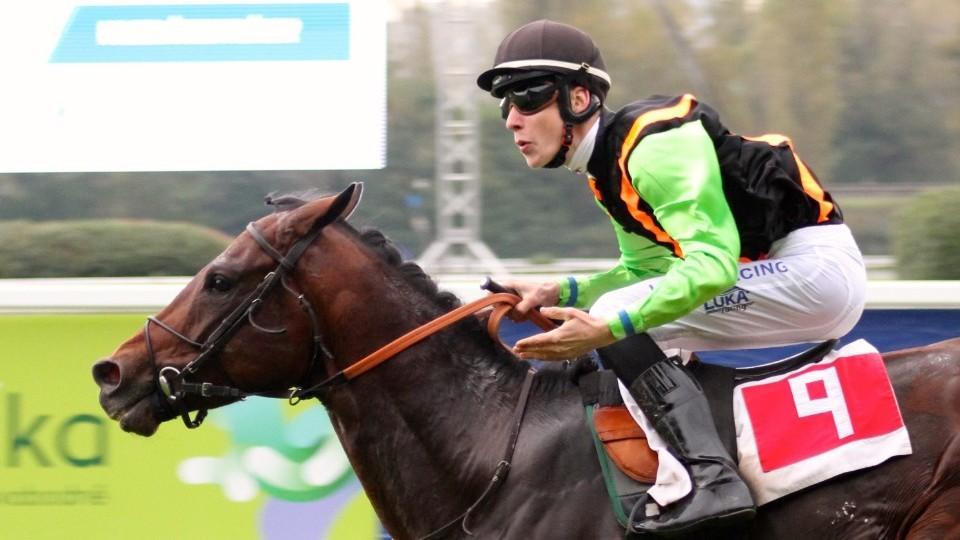 Nagano Gold píše historii. Česká hvězda těsně druhá na Royal Ascotu!
