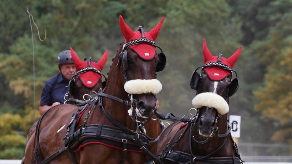 Pardubice o víkendu nabídly divákům adrenalin, Zduchovice drezury