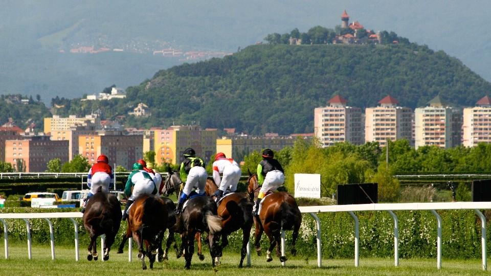 Jockey Club reaguje na sobotní Most. Chystá prošetření i nová opatření