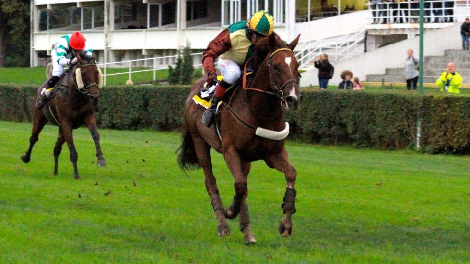 Devadesátka EquiTV: Talent je zpět, vítěz Velké pardubické poražen