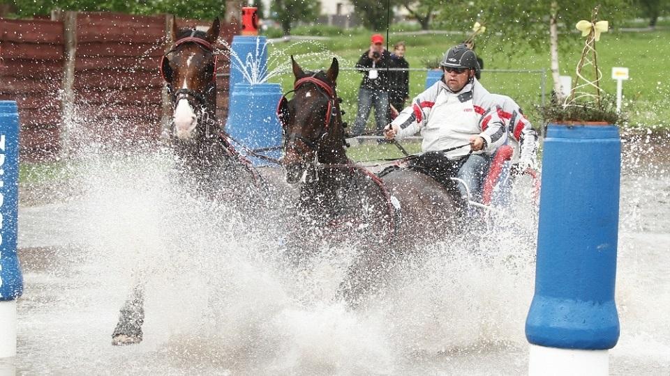 MČR spřežení v Těšánkách slibuje krom sportu také pestrý program