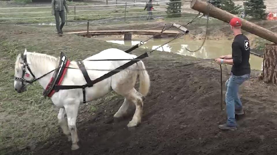 Devadesátka EquiTV: MČR v kombinovaných soutěžích ovládl Michal Bančík