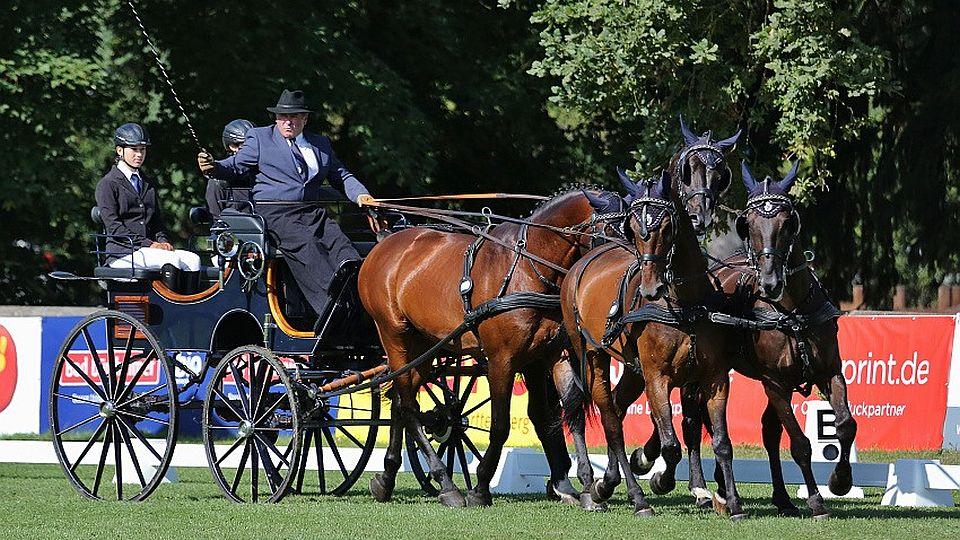 Devadesátka EquiTV: V Těšánkách se bojovalo o vozatajské tituly 2019