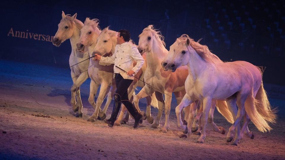 Hvězdou 121. ročníku Fieracavalli bude žijící legenda Michel Robert