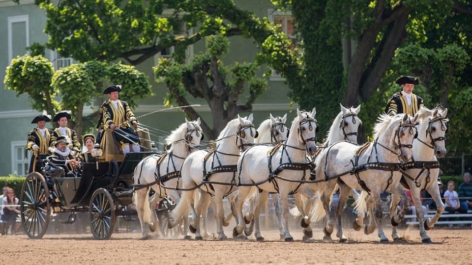 ŽIVĚ: Oslavy zápisu Národního hřebčína Kladruby na seznam UNESCO
