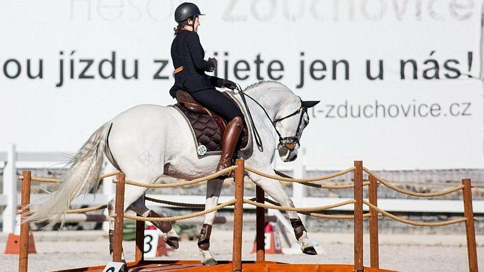 Devadesátka EquiTV: Zduchovické working equitation s Pedrem Torresem