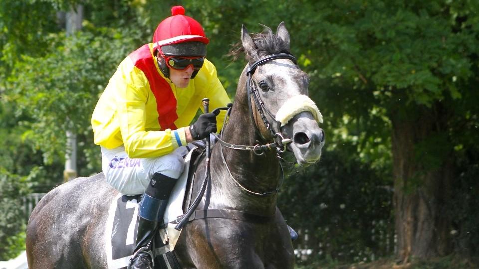 Odložil žokejem, Filipová klasickou vítězkou. To byl dostihový víkend
