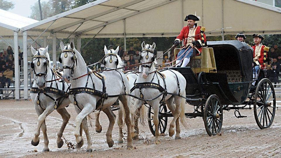Devadesátka EquiTV: Kladruby slavily s fanoušky zápis na seznam UNESCO