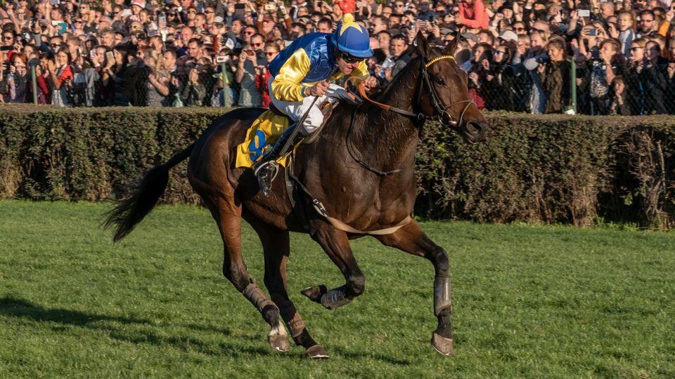 Kdo bude psát historii? Sedm témat, která hýbou Velkou pardubickou