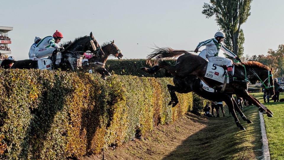 Foto: Bartoš v nebi podruhé. Po Meranu dobyl i Velkou pardubickou
