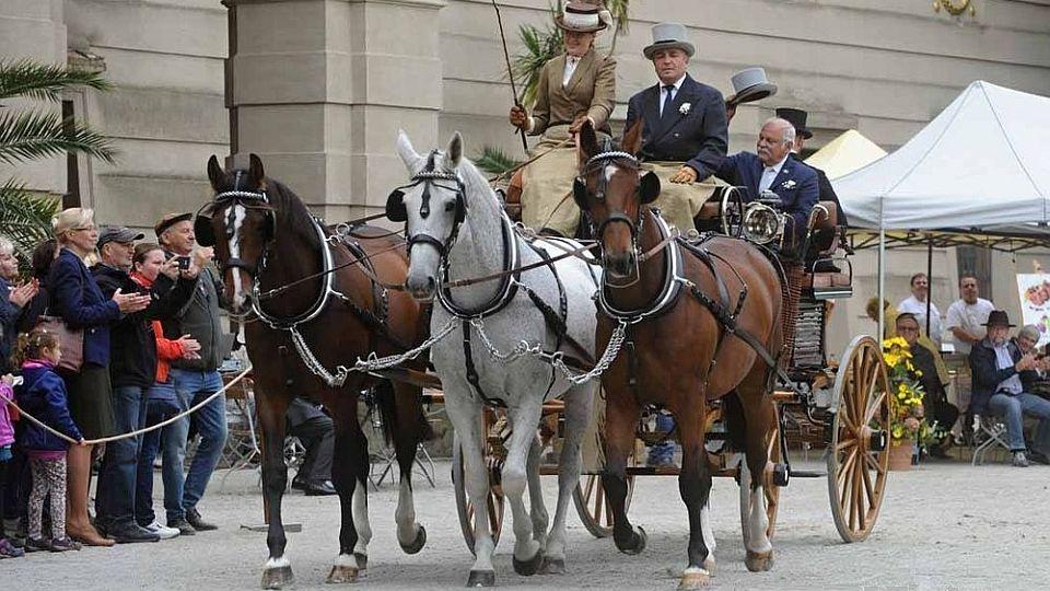 Krása a elegance kočárů. Kroměříž hostila soutěž tradičních zápřeží