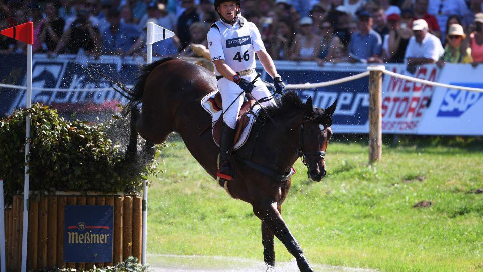 Soutěžím všestrannosti vládne irský chov. Rok 2019 zamíchal pořadím
