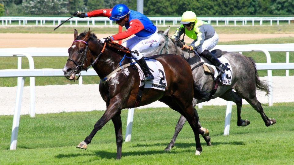 Evropa se trápila v Breeders' Cupu, Maďar vyhrál grupu 1 v Mnichově