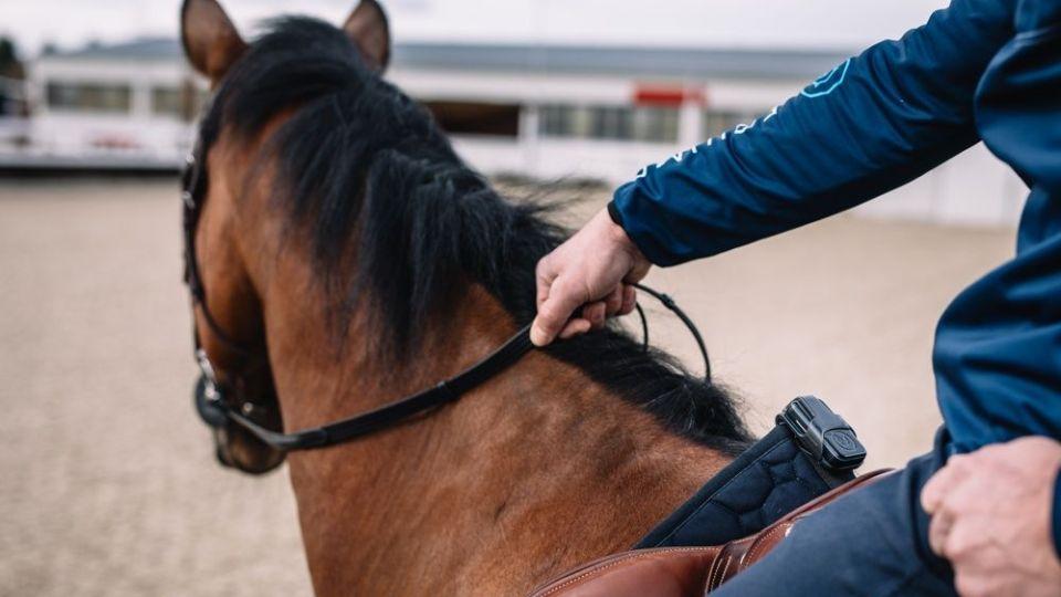 EQUIMO z vás Grand Prix jezdce neudělá, ale pomůže zefektivnit trénink