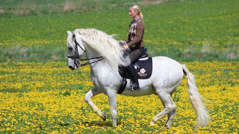 Vanda Bělinová: Bandolero zásadně ovlivnil můj profesní i osobní život