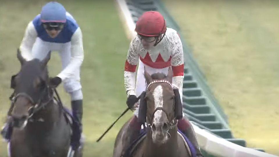 Tokio znovu tleská Murphymu. Britský šampion vyhrál Japan Cup