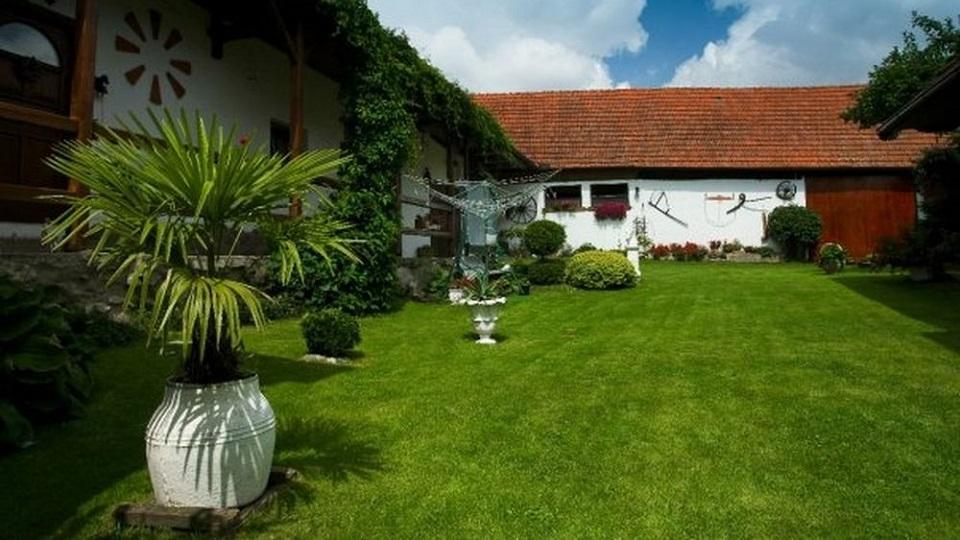 Radka Dvořáková: V Rynárci jsem začínala se dvěma boxy a loukou