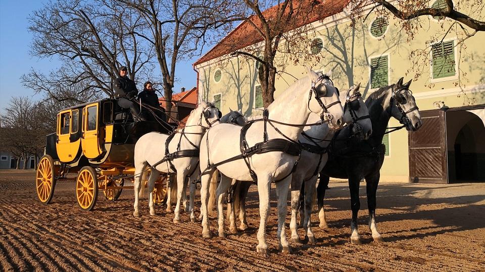 Jiří Machek: Rekonstrukcí bývalé fary obnova objektů hřebčína nekončí