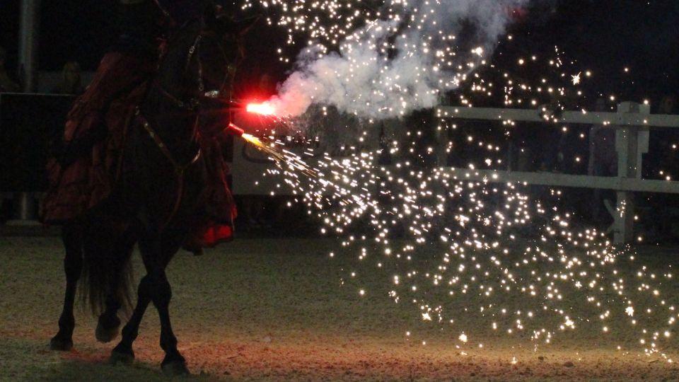 Jezdecká generálka na Silvestr 2019 ve Všeticích ŽIVĚ na EquiTV.cz